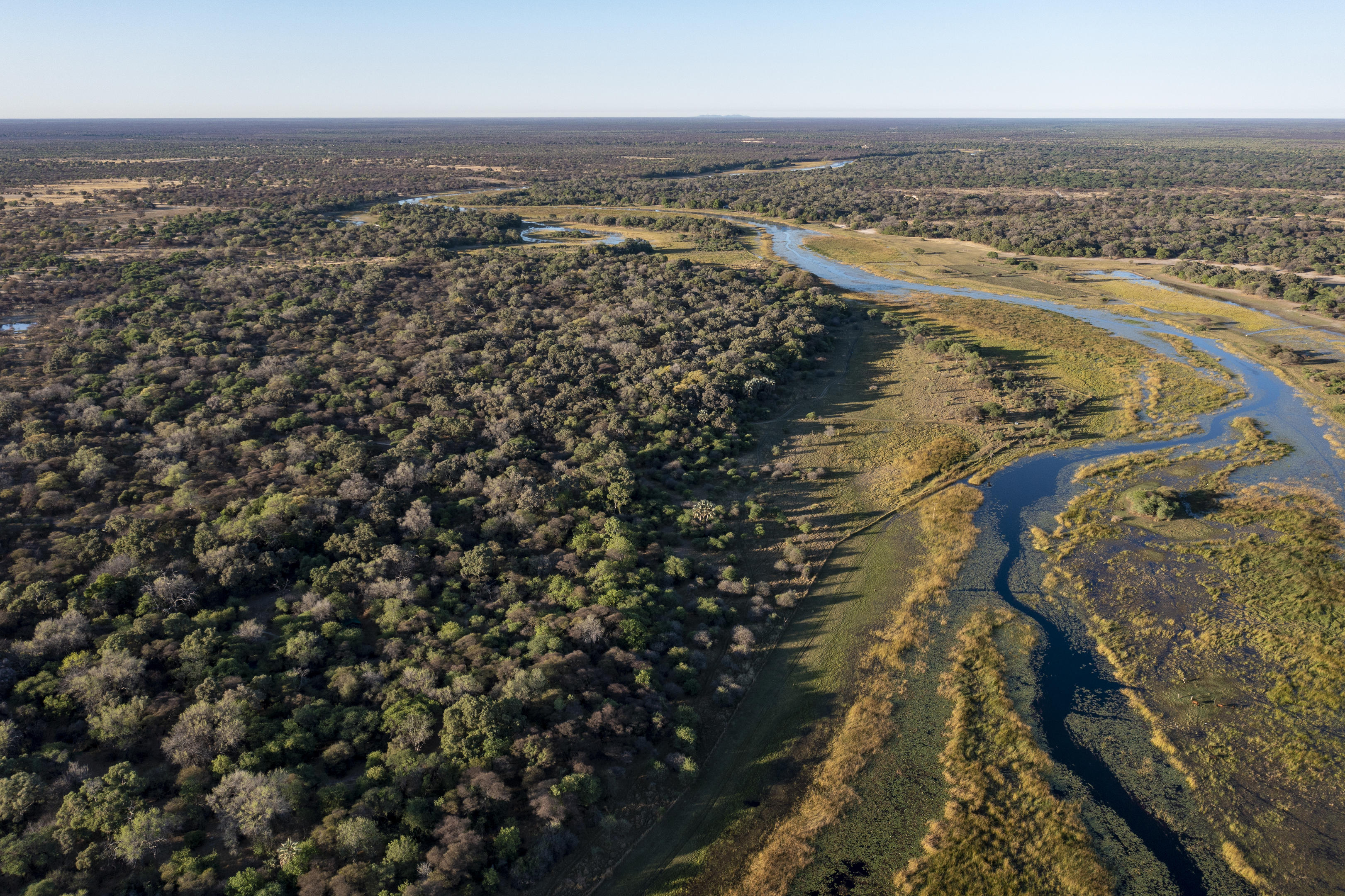 Thamo Telele thumbnail 7